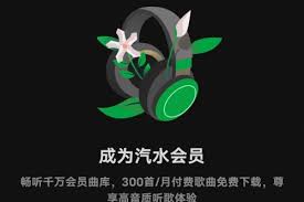 qishuiyinyue-13