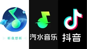 qishuiyinyue-20